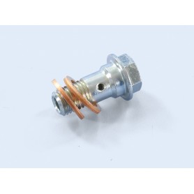 Tornillo latiguillo10 mm rosca M8