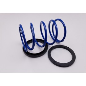 OFERTA Muelle de polea Polini "EVO SLIDER" D.4,3 Piaggio/Minarelli