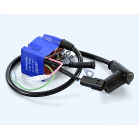 171.0685 BOBINA DE ESTATOR PROGRAMABLE POLINI PVL CON MAPAS BYABE